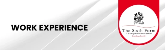 banner for website work exp